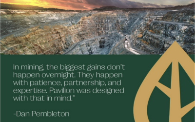 Purpose by Design: Why Pavilion’s “5 + 1 + 1” Structure Is Built for Long-Term Resource Investing